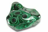 Flowery Polished Malachite Specimen - Great Eyes! #255215-1